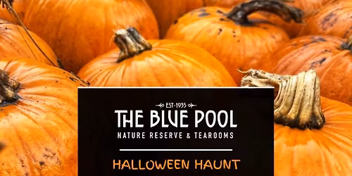 The Blue Pool Halloween Haunt