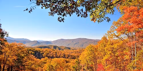 \ud83c\udf41 Trees of Many Colors Getaway in Gatlinburg! \ud83c\udf42 $199 Per Couple!