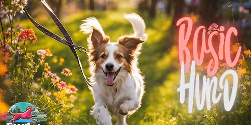 FreeRun Basic Hund - November 25