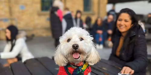 Manchester - Jingle Paws Christmas Tour \ud83c\udf84