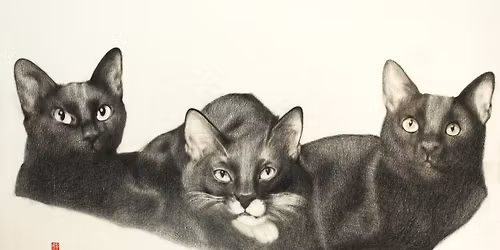 \u300e\u9ed2\u732b\u3068\u308f\u305f\u3057\u300f\u30fb\u30ea\u30ea\u30a2\u30f3\u30fb\u9ad8\u6a4b\u884c\u96c4 \ud83c\uddf9\ud83c\uddfc\ud83c\uddef\ud83c\uddf5 \u65e5\u53f0\u4ea4\u6d41\u5c55