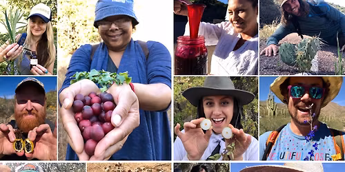 Edible & Medicinal Plants of the Sonoran Desert: Tucson Area
