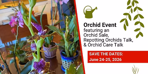 Orchid Event