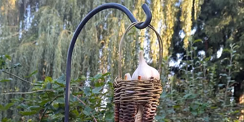Willow Bird Feeder\/Garlic Holder