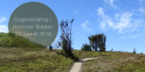 Dagsvandring - pilgrimsvandring - i Hammer Bakker