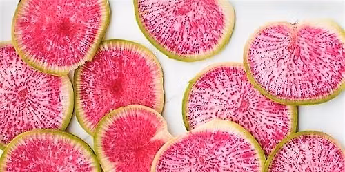Radish Rendezvous