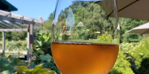 Bottles, Barrels & Backroads: Hermann MO