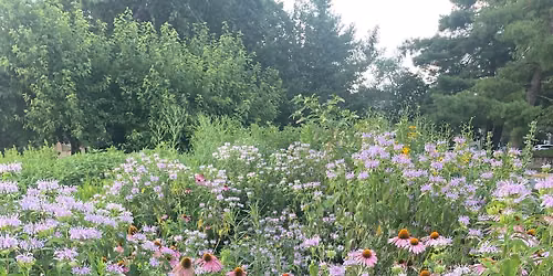 Help W**d and Chop the Sweitzer Park Butterfly Garden