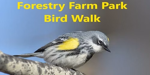 Forestry Farm Park Guided Bird Walk