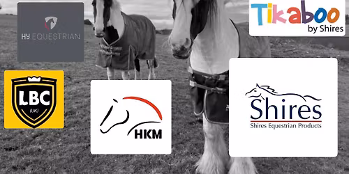 Black Friday Auction 