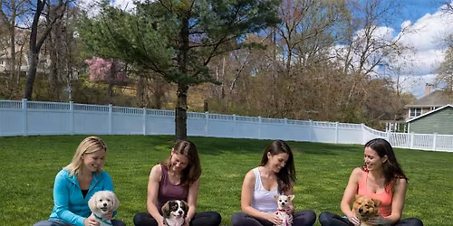 From Reactive to Regulated\u2014For You and Your Dog