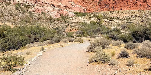 Connected Walks LV