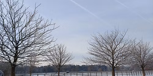 Into the Quiet: Winter Yin & Nidra Journey