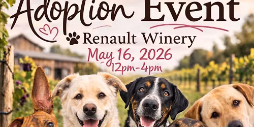 Dog Day Adoption Event