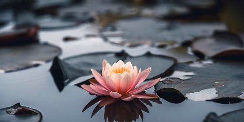 Course in Malvern: How to live a meaningful life
