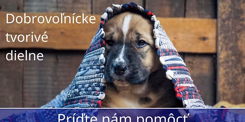 \u2022 Ko\u0161ice \u2022 DOBROVO\u013dN\u00cdCKE EKO-TVORIV\u00c9 DIELNE - V\u00fdroba \u00fa\u017eitkov\u00fdch predmetov z recyklovan\u00fdch materi\u00e1lov