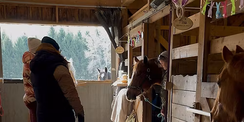 Back To the Land: An Equine Wisdom and Healing Retreat.