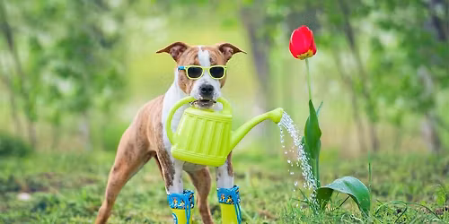 Petco's Garden Party!