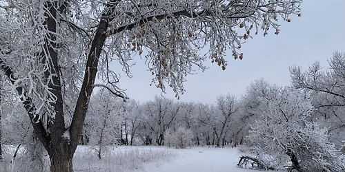 Winter Solstice Celebration & Mindfulness Walk