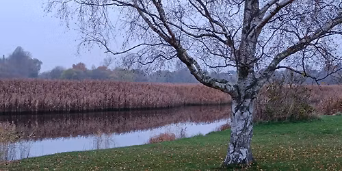 L\u00f8rdag 8\/11 kl. 1000 Appen\u00e6s 5 km. Hastighed 4,5 km\/t. Start Jakobshavn 4, Appen\u00e6s. 