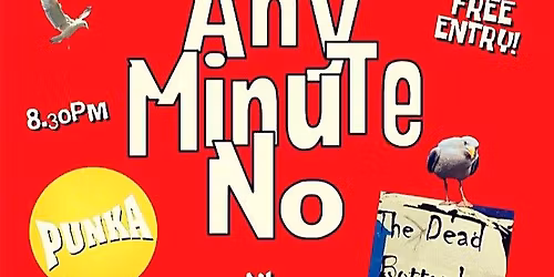 ANY MINUTE NO - PUNKA - THE DEAD BOTTOMLEYS 