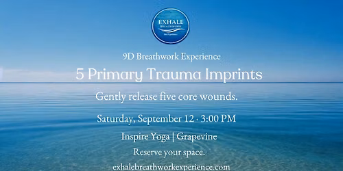5 Primary Trauma Imprints | 9D Breathwork Event