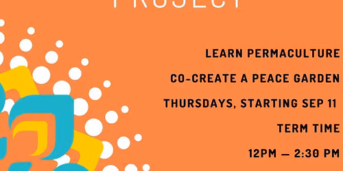 The Village Frome Peace Garden