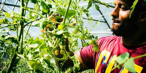 Get the Inside Scoop on High Tunnel Growing