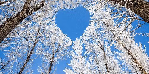 Reiki Share - Winter Solstice Special 