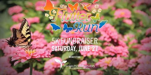 The Flutter Run