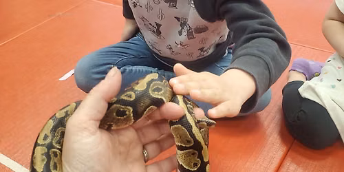all about reptiles camp!
