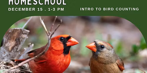Homeschool: Bird Counting