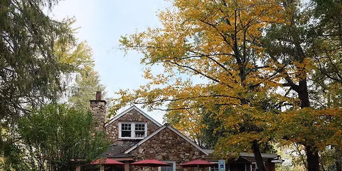 Wines For Your Thanksgiving Table Tasting