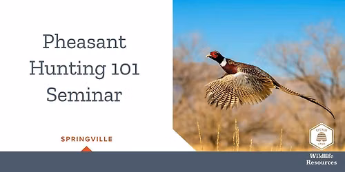 Pheasant Hunting 101 Seminar