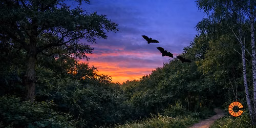 Twilight Bat Walk