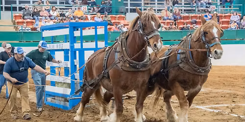 Southern National Horse Pull