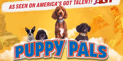 Puppy Pals LIVE