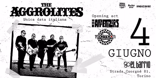 The Aggrolites | Live in Torino