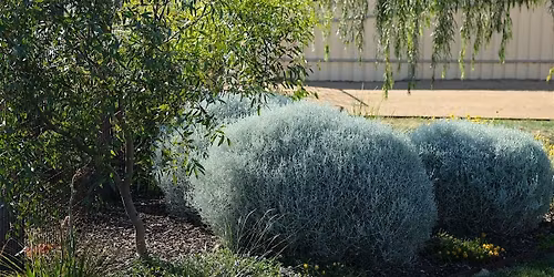 Inviting the Wild In: Turn Your Garden into a Living Ecosystem