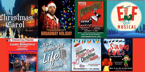 Parking It's a Wonderful Christmas Carol