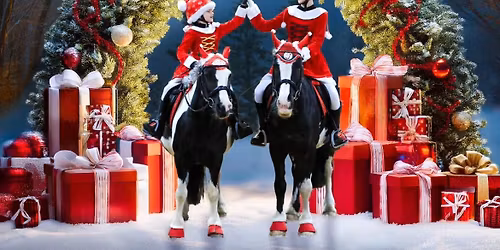 FUN Fancy Dress Pairs Christmas Dressage
