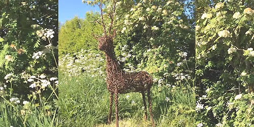 Willow Deer Sculpture Workshop