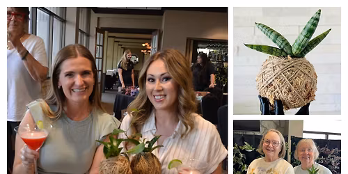 Workshop - Kokedama & Wall Mounted Art
