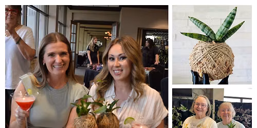Workshop - Kokedama & Wall Mounted Art