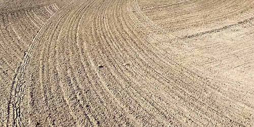 Schooling Barrel Show 