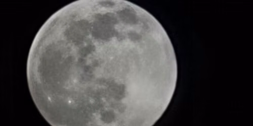 Full Moon Meditation Under the Strawberry Moon in Sutton Park