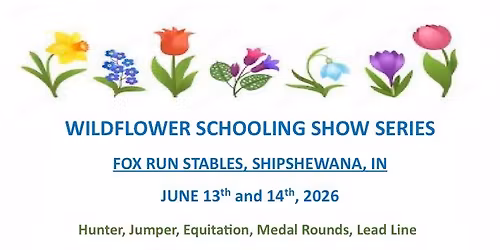 Fox Run Wildflower Show