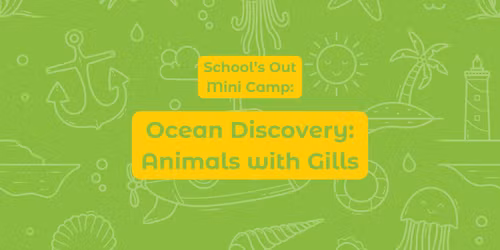 School's Out Mini Camp: Ocean Discovery: Animals with Gills