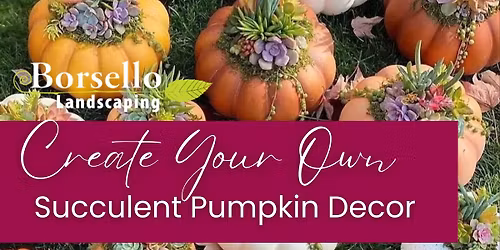 DIY Succulent Pumpkin Decor