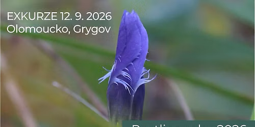 Exkurze: Roste je\u0161t\u011b rostlina roku v Grygovsk\u00fdch kopc\u00edch?